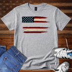 SHAMELESSPATRIOTS.COM distressed Flag